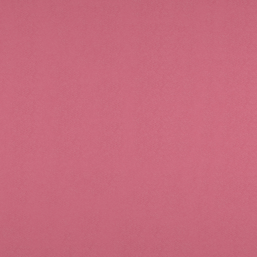 Store Plissé Elgon TAP ROSE